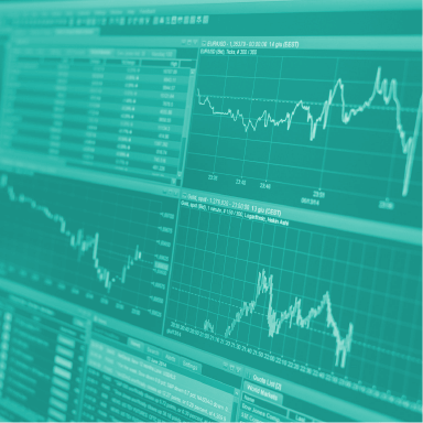 A Yearlong Guide for Small Business Growth